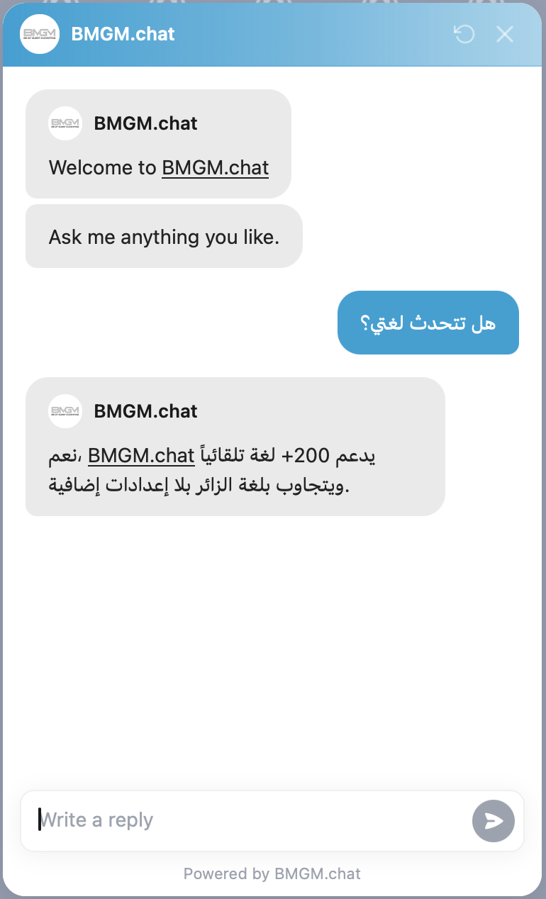 Custom AI Chatbot for Lead Capture & Customer Intelligence | BMGM.chat